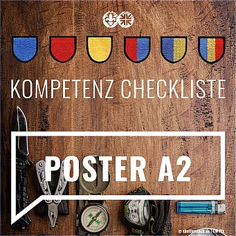 Curriculum Poster A2